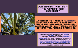 Acai berries - what puts the "super" in this superfood?