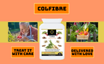 Colfibre Healthy Bowels Formula Colon Cleanse Detox Digestion Supports Constipation Relief with Sugar Beet Fibre Vegan Gluten Free Dairy Free Supplement 100 Capsules, Super B Plus Group Ltd Treat it with Care Delivered with Love